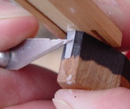 Preserving the shape 15K jpeg