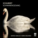 CD cover thumbnail 4K webp