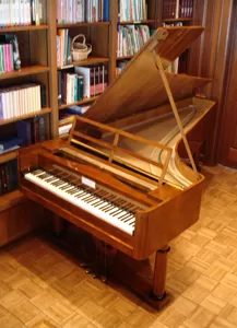 Graf fortepiano 13K webp