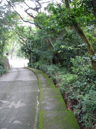 Grounds of Chinese University Hong Kong 74K jpeg