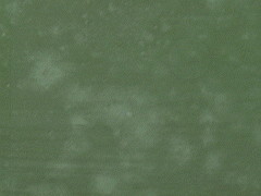 Harpsichord case mould 8K jpeg