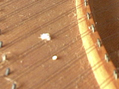 Soundboard mould 15K jpeg