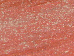 Harpsichord bottom mould 18K jpeg