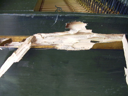 Harpsichord spine termite damage 38K jpeg
