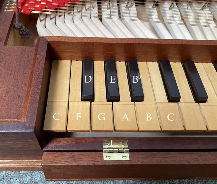 Common short octave 60K webp